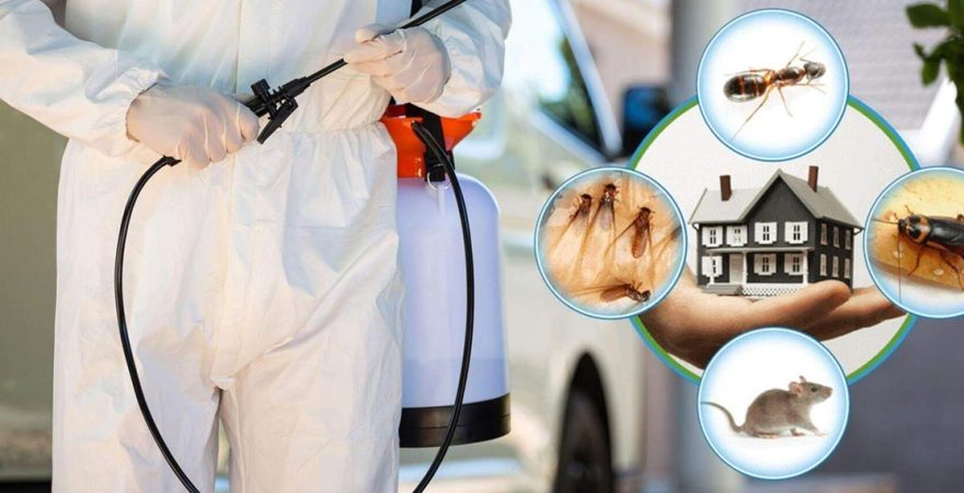 Alpu Böcek İlaçlama