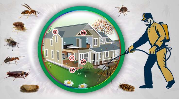 Alpu Böcek İlaçlama