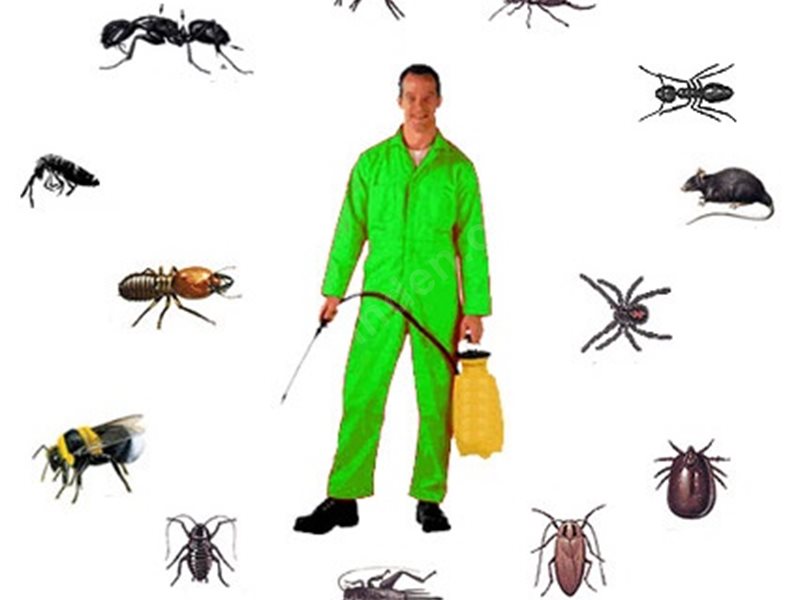 Alpu Böcek İlaçlama